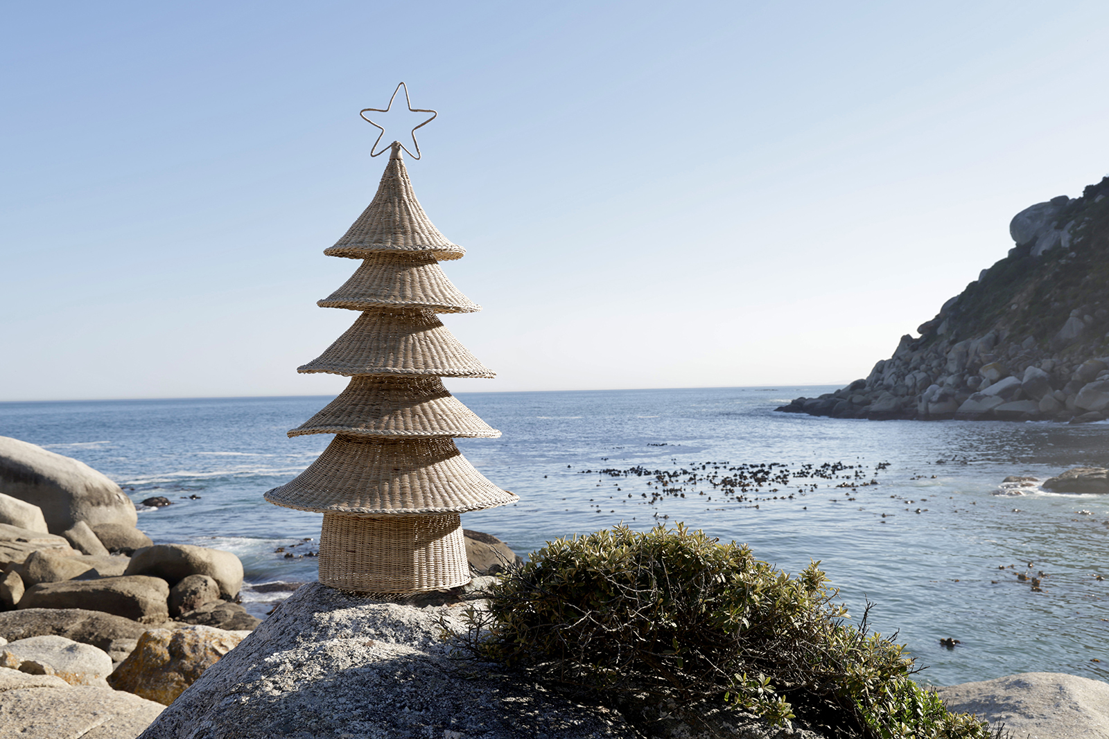 Cholinga Christmas Tree - Image 4