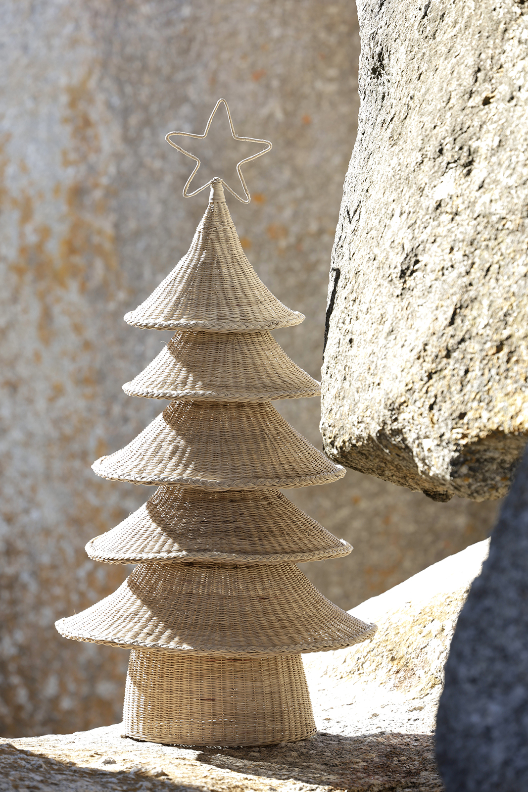 Cholinga Christmas Tree - Image 6